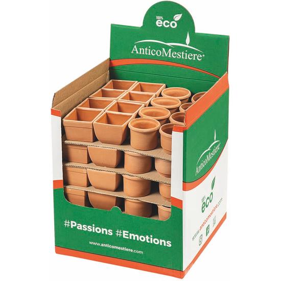 Baby Pot Galestro