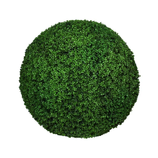 Buxus 110cm