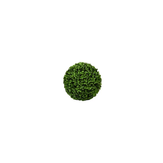 Buxus 30cm