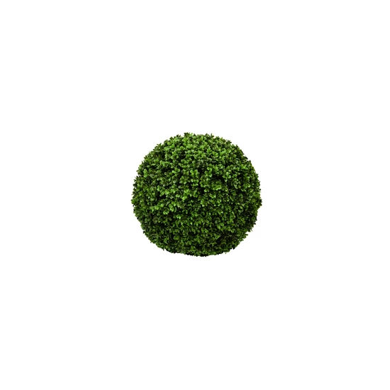 Buxus 40cm