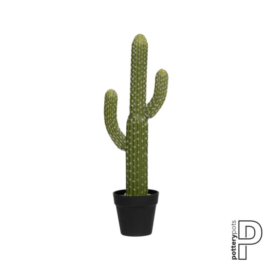 Cactus Saguaro 62cm