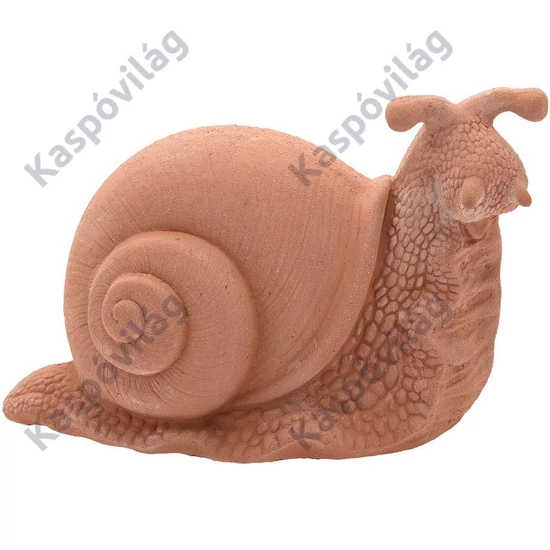 Csiga 23cm