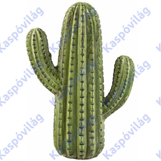 Ágas kaktusz 27cm