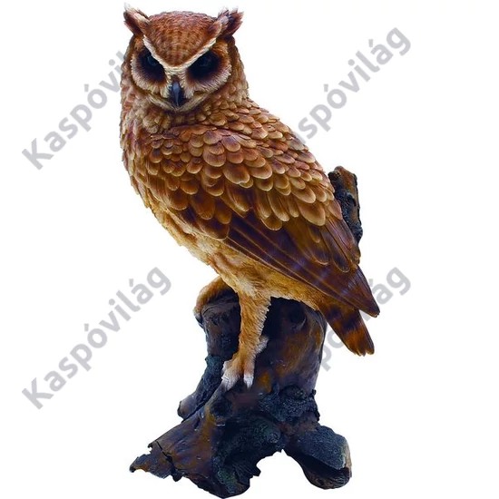 Császárbagoly 37cm