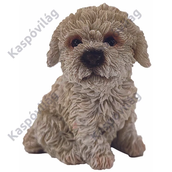 Barboncino mignon 6cm