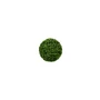 Kép 1/3 - Buxus 30cm