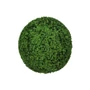 Kép 1/3 - Buxus 90cm