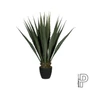 Kép 1/2 - Agave 103cm