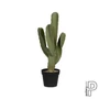 Kép 1/3 - Cactus Cereus 72cm