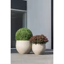 Kép 3/3 - Kaspó Orb bézs 90cm